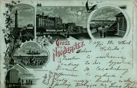 Gross Norerney