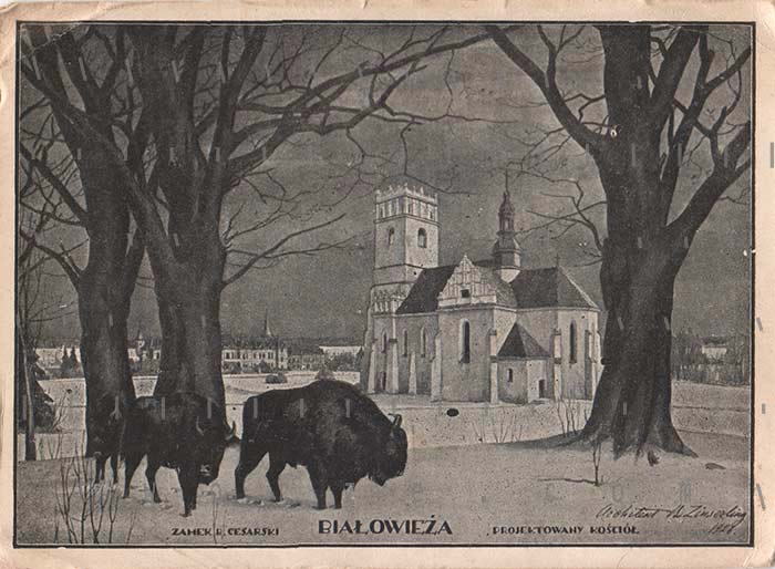 Białowieża