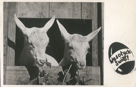 stare kartki świąteczne